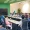 Volunteer and Leadership Program