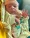The stunting prevention Program's Role in the First Six Months of Life